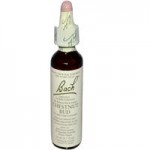Buy Chestnut Bud Bach Flower Remedy at a Discount
